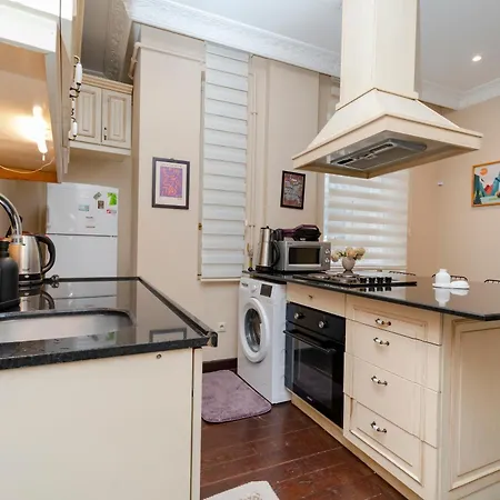 Apartment 3-bedroom, 2-bathroom In A Stylish Building Istanbul